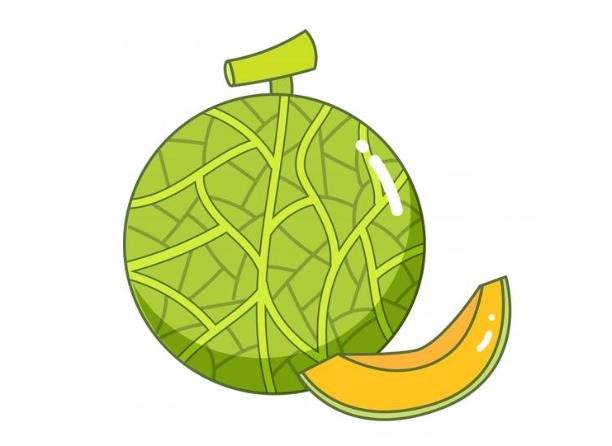 哈密瓜简笔画简单又好看图片欣赏