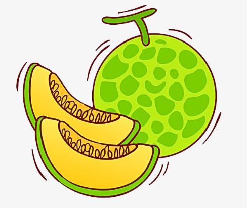 哈密瓜简笔画简单又好看图片欣赏