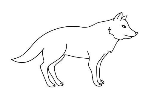 如何画一只简单的狼简笔画图片分享