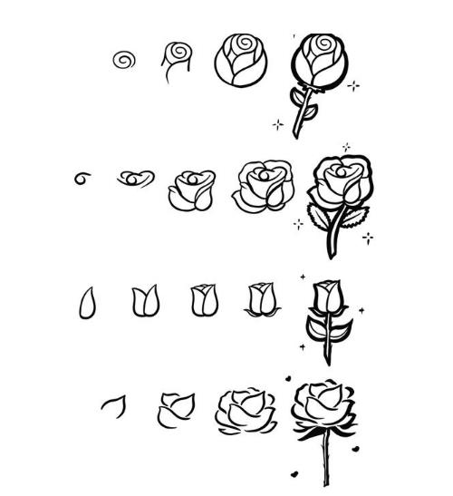 最新简单的画玫瑰花教程图片大全