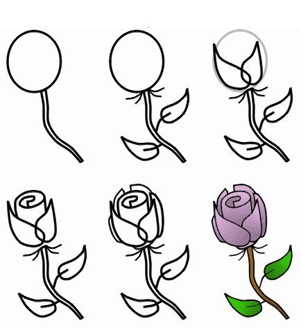 最新简单的画玫瑰花教程图片大全