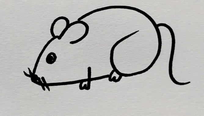 用数字画一个老鼠简笔画图片大全