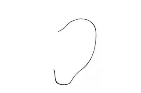 一步一步教你画耳朵简单画法教程图片