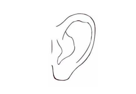 一步一步教你画耳朵简单画法教程图片