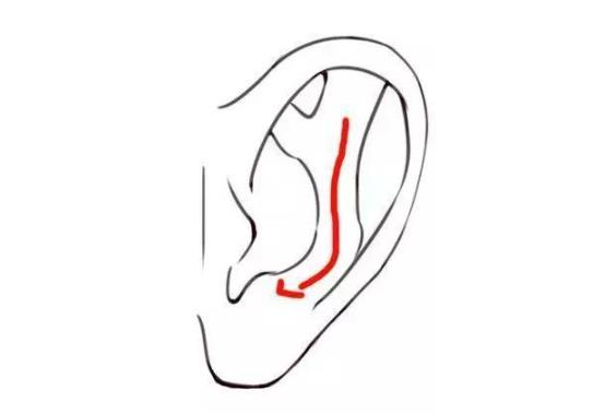 一步一步教你画耳朵简单画法教程图片