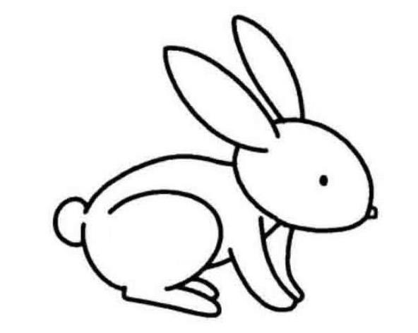 画一只简单的小兔子简笔画最新图片大全