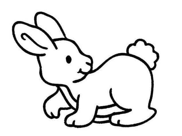 画一只简单的小兔子简笔画最新图片大全