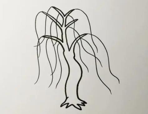 精选画一棵柳树怎么画简单又好看图片