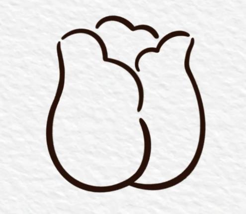 郁金香简笔画简单又好看画法图片大全