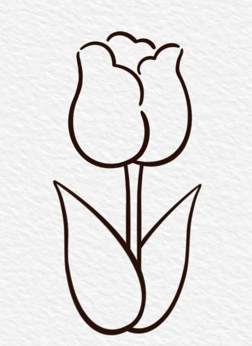 郁金香简笔画简单又好看画法图片大全