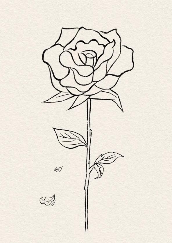 【简笔画】一步一步画玫瑰花图片教程