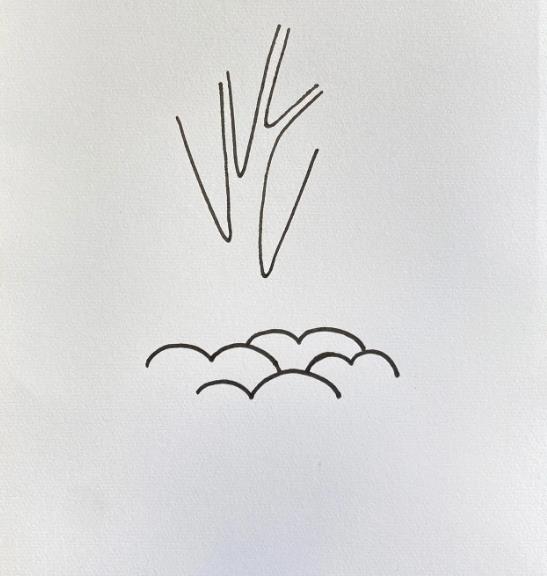 3.12植树节简笔画涂色简单又漂亮