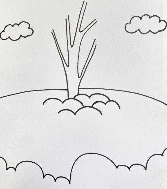 3.12植树节简笔画涂色简单又漂亮