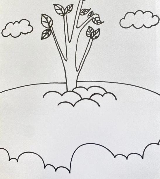 3.12植树节简笔画涂色简单又漂亮