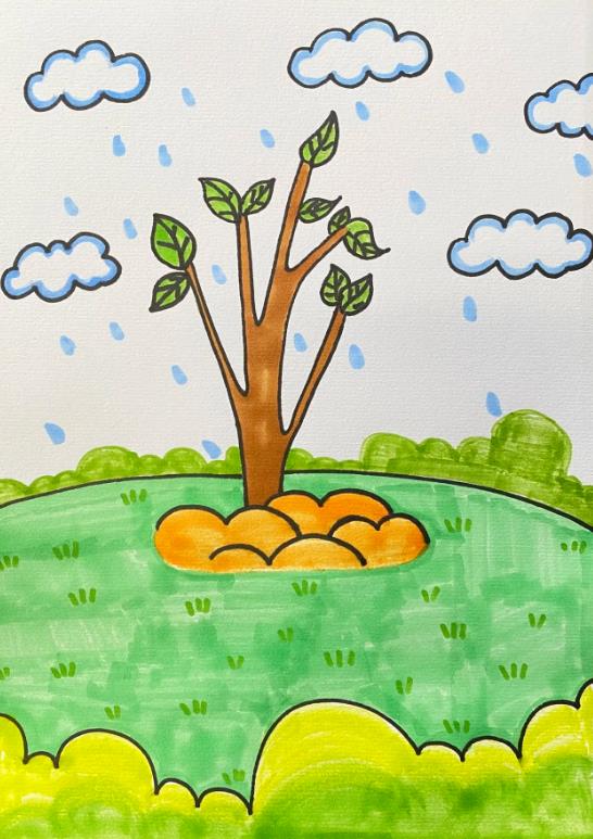 3.12植树节简笔画涂色简单又漂亮