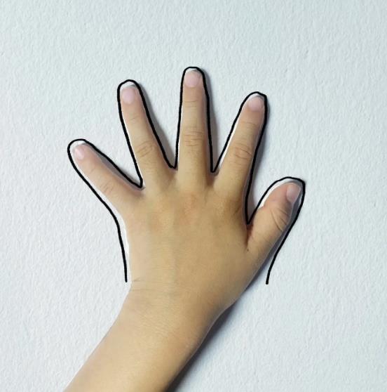 画一棵大树又简单又漂亮三年级