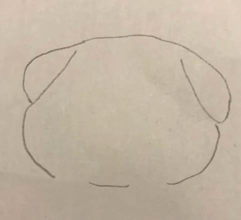 一步一步教我画八哥狗狗简笔画教程图片