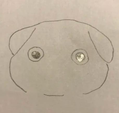 一步一步教我画八哥狗狗简笔画教程图片