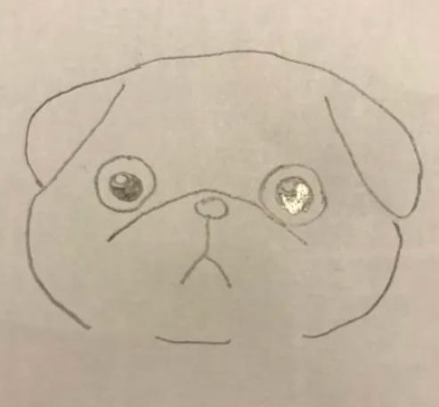 一步一步教我画八哥狗狗简笔画教程图片