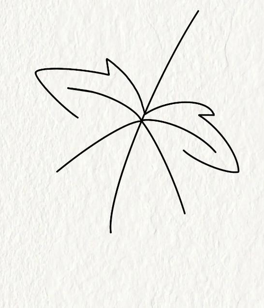 一步一步教你怎么画叶子 儿童画叶子的简单方法