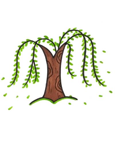 7一9岁儿童画柳树简笔画怎么画简单