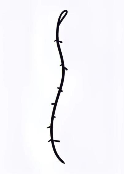 2024年最新的鞭炮的图片简笔画教程