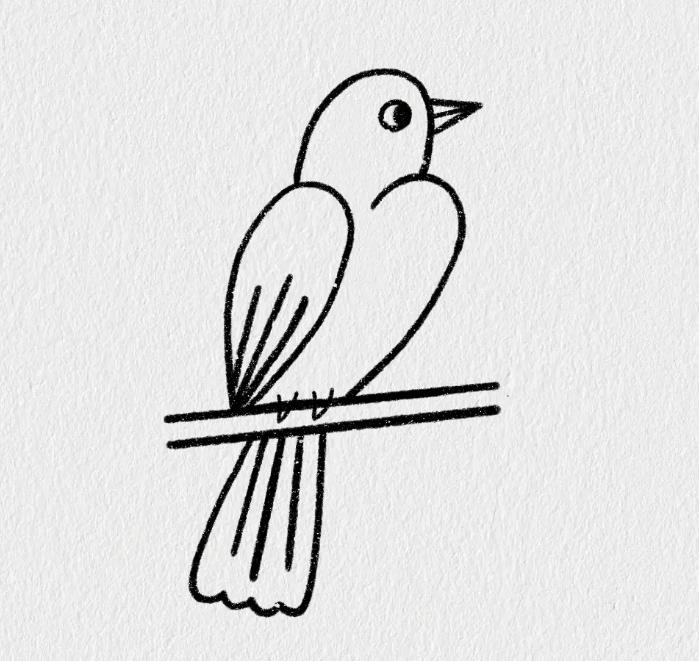 数字画小鸟的外形怎么画 画一个最简单的小鸟