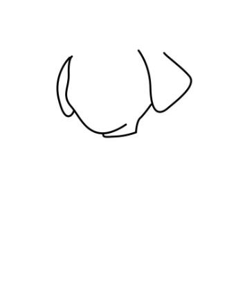 2024年汪汪队毛毛简笔画步骤图片分享