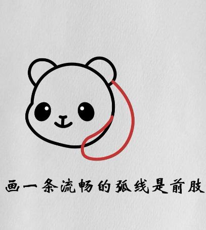 2024熊猫简笔画图片大全可爱趴着怎么画