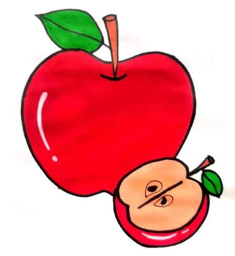 2024可爱带颜色的水果简笔画图片大全分享