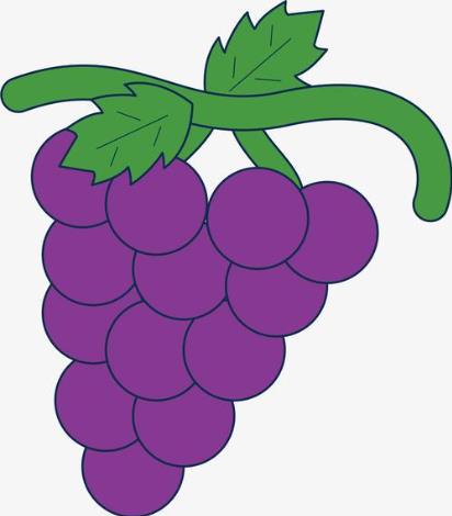 2024可爱带颜色的水果简笔画图片大全分享