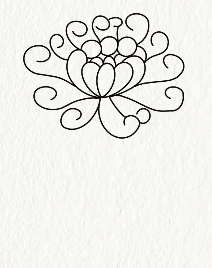 菊花简笔画简单又漂亮 怎样画菊花简单画法教程