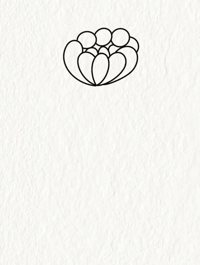 菊花简笔画简单又漂亮 怎样画菊花简单画法教程