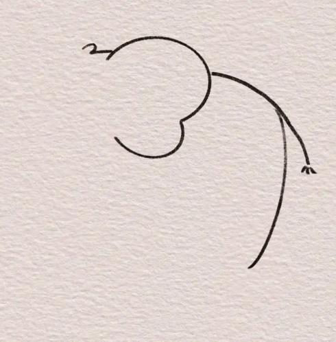 大象简笔画画法步骤一步一步教