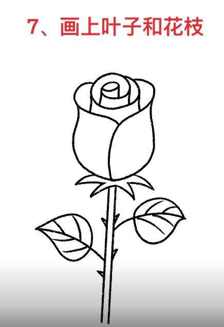玫瑰花简笔画教程一步一步图解大全