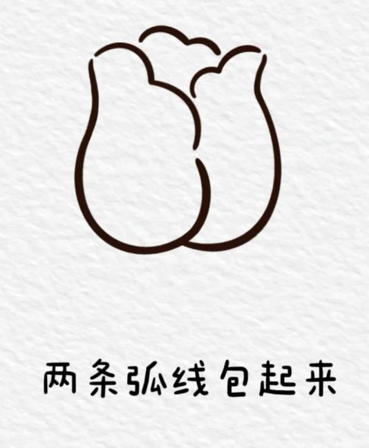 一笔画郁金香教程一步一步图解