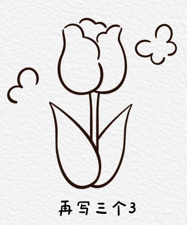 一笔画郁金香教程一步一步图解