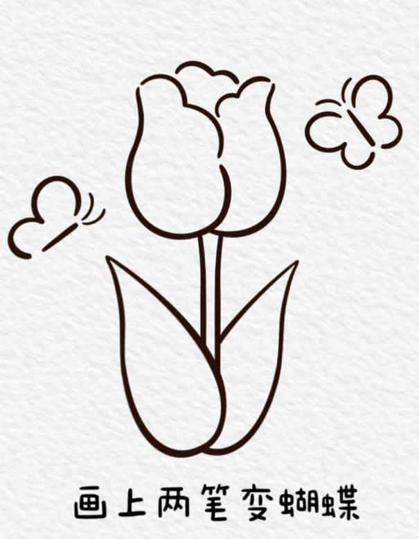 一笔画郁金香教程一步一步图解