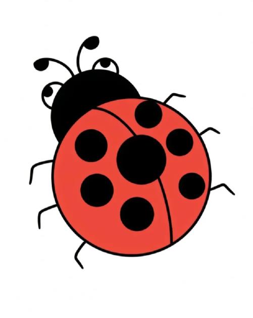 1-3岁宝宝画画七星虫简笔画图片