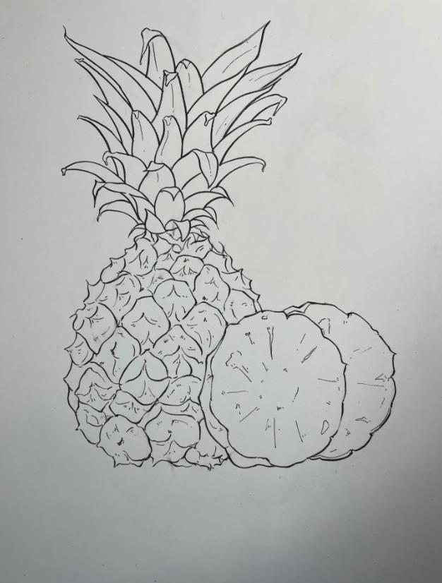 儿童绘画: 热带水果简笔画图片教程(菠萝)