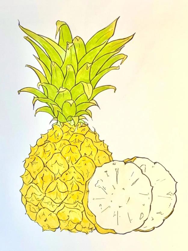 儿童绘画: 热带水果简笔画图片教程(菠萝)