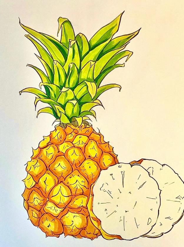 儿童绘画: 热带水果简笔画图片教程(菠萝)