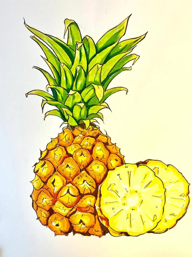 儿童绘画: 热带水果简笔画图片教程(菠萝)