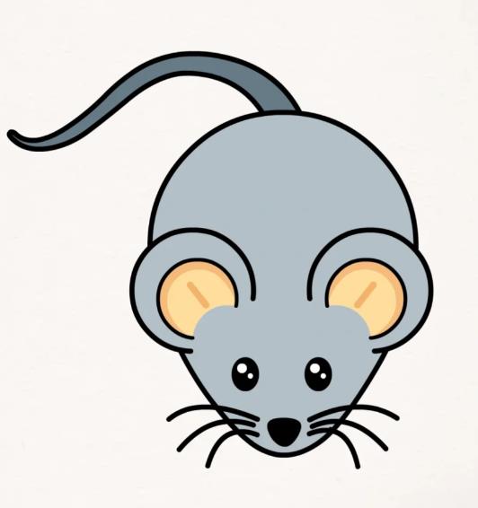 小老鼠简笔画怎么画可爱步骤分享