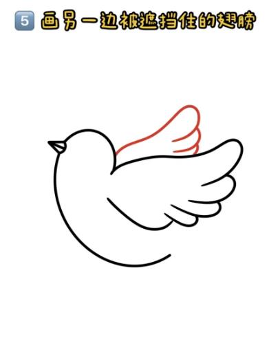 鸽子简笔画简单又好看（手绘步骤）