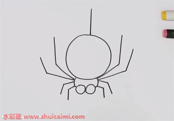 蜘蛛怎么画 蜘蛛简笔画简单彩色