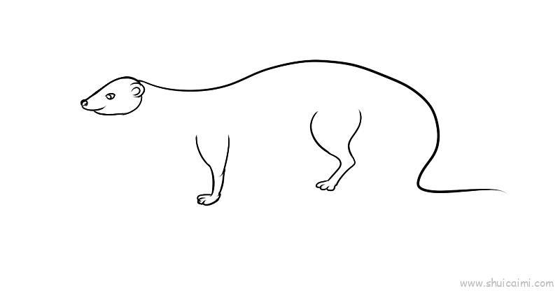 红颊獴儿童画怎么画 红颊獴简笔画好看