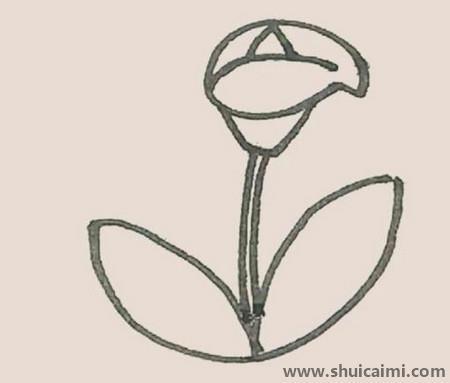 马蹄莲儿童简笔画