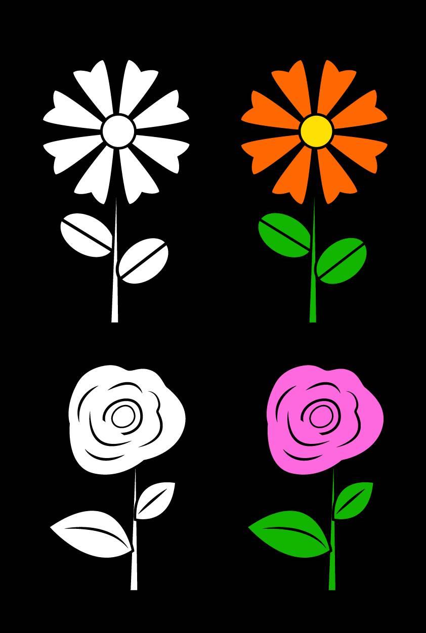 花简笔画 花简笔画彩色