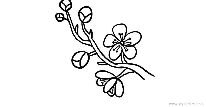 武汉樱花儿童画怎么画 武汉樱花简笔画教程